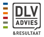 DLV Advies logo