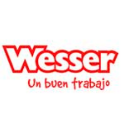 Wesser and Partner logo