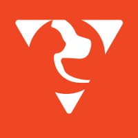 Velocity International Logo