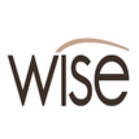 Wise Contabilidade e Auditoria logo