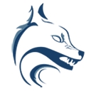 WOLF OF SEO FZ LLC logo
