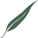 Woodleigh School logo