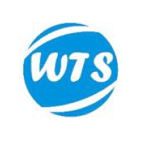 Wis TechnoSavvy Pvt. Ltd. logo