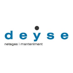 DEYSE logo