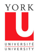 York University logo