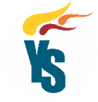 YS Group of Institutes logo