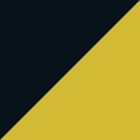 Zabolis Partners logo