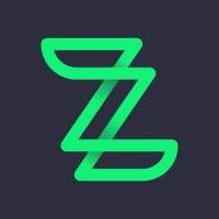 Zallpy Digital logo