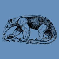 Logo Anteater