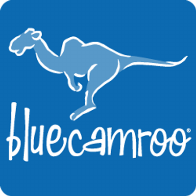 Logo BlueCamroo