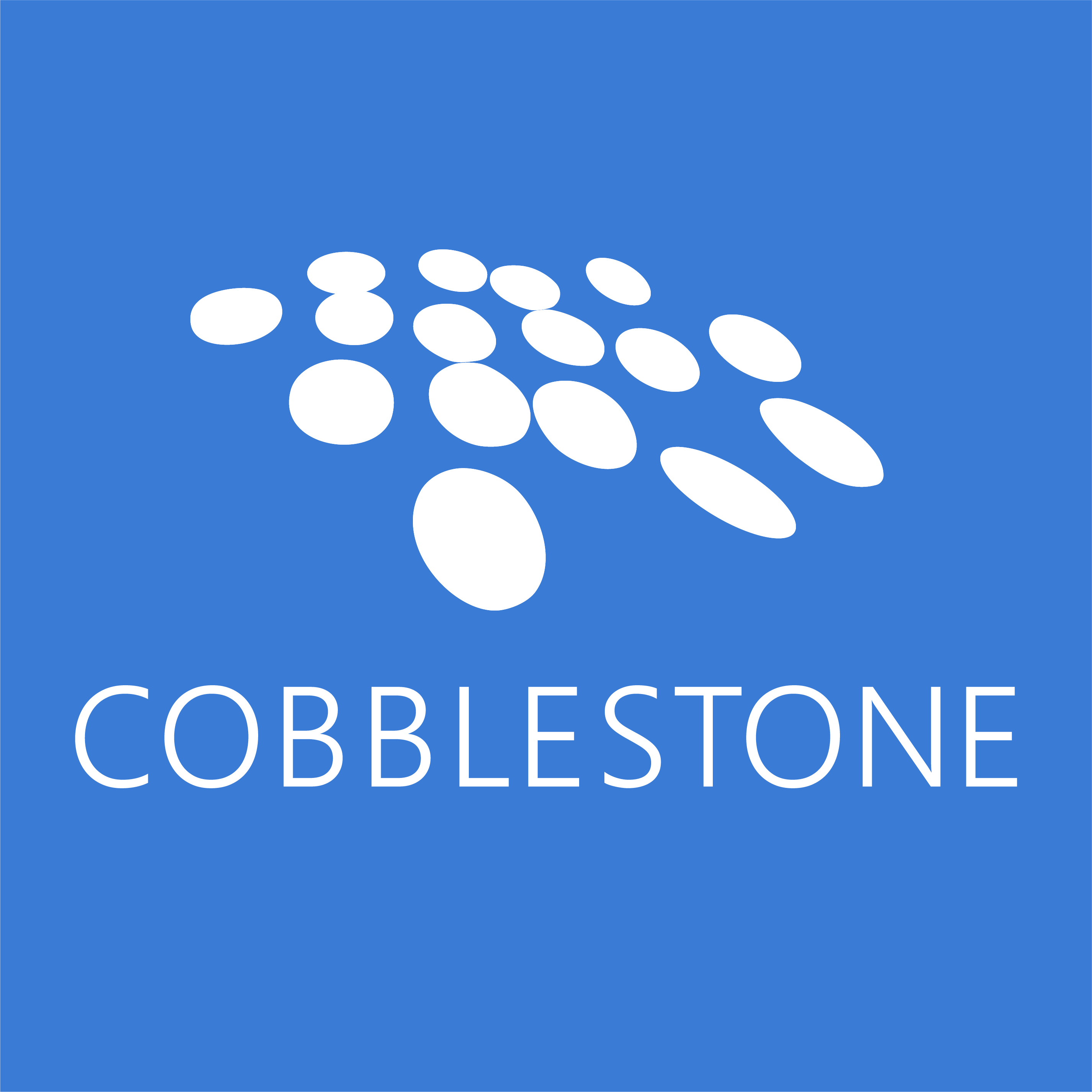 Logo CobbleStone Software