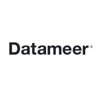 Logo Datameer