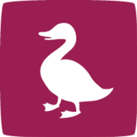 Logo Ducksboard