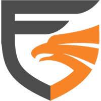 Logo Gray Falkon