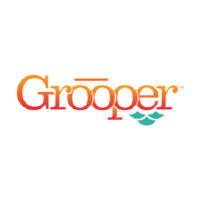 Logo Grooper