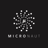 Logo Micronaut Framework