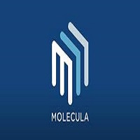 Logo Molecula