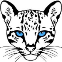 Logo Ocelot