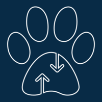 Logo Paw