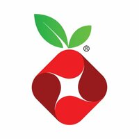 Logo Pi-hole
