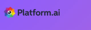 Logo Platform.ai