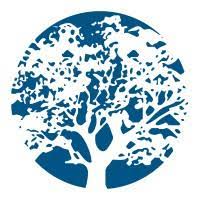 Logo Raintree systems