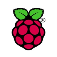Logo Raspbian