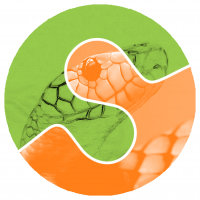 Logo scikit-image