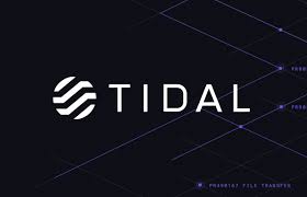 Logo Tidal Software