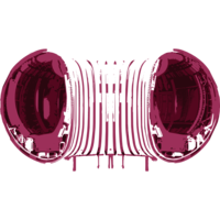 Logo Tokamak