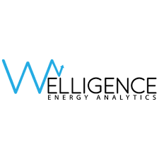 Logo Welligence